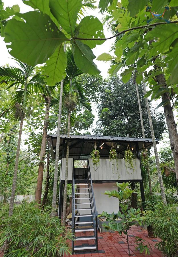 Serenity Villa And Treehouse Palakkad Buitenkant foto