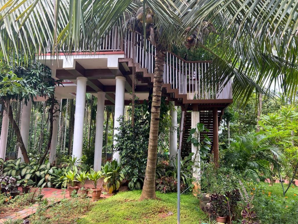 Serenity Villa And Treehouse Palakkad Buitenkant foto