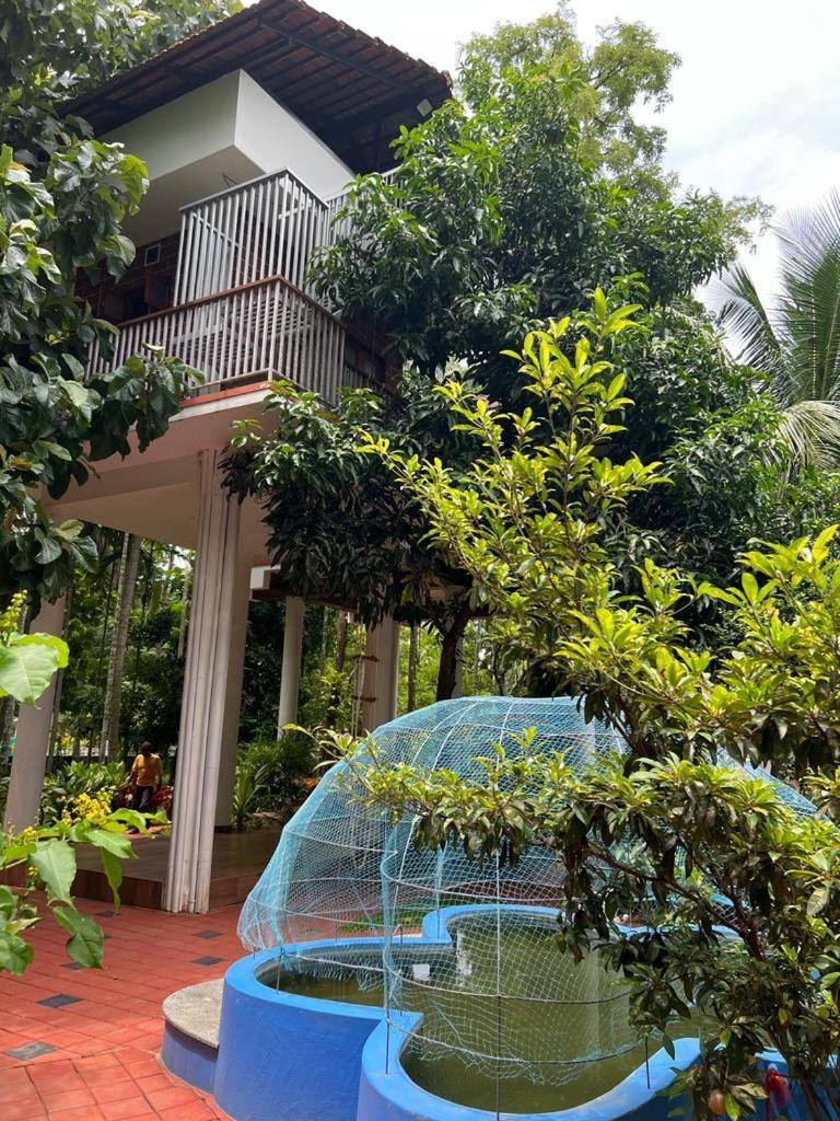 Serenity Villa And Treehouse Palakkad Buitenkant foto